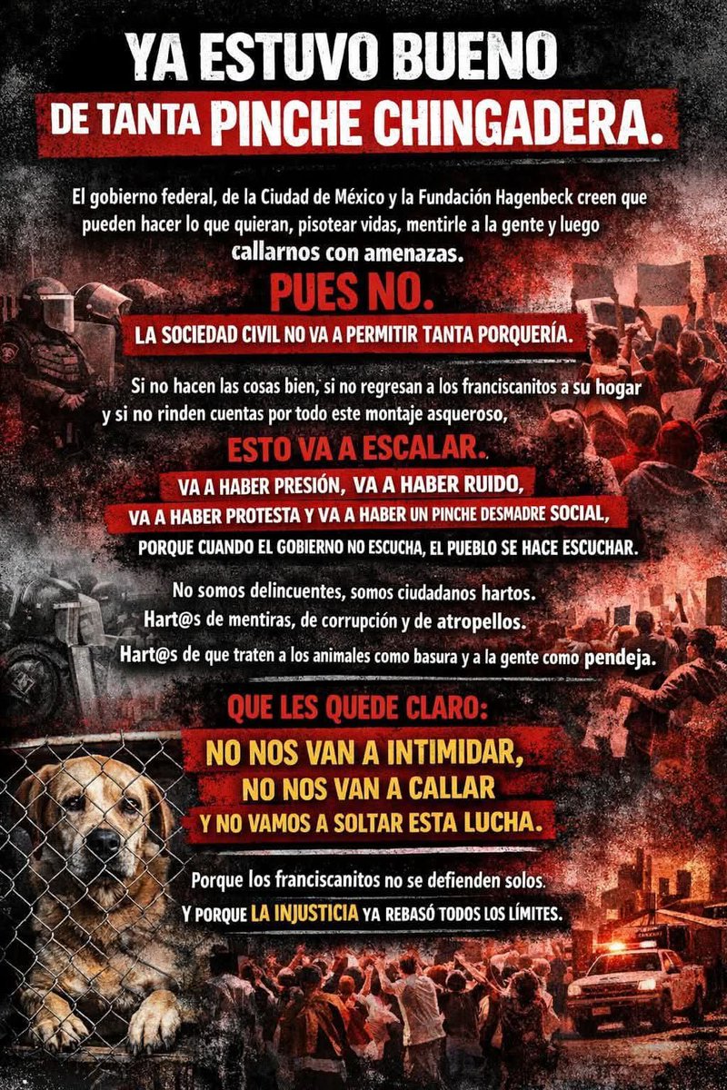 Elena Chávez tweet media