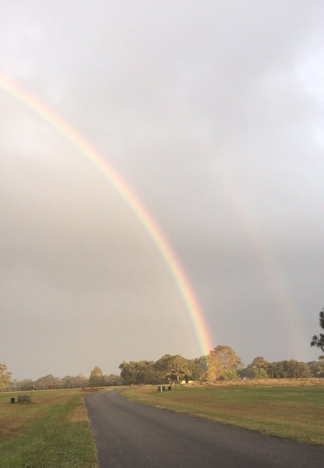 Meredith ORourke tweet media