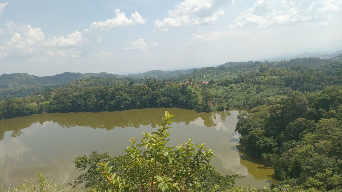SilverKayondo's tweet photo. Lush green vegetation sponsored by the rainy season at Lake Kifuruka. Good time for the lake to breathe.

#FortPortal #Tooro #ClimateAction #conservation #nature 

https://t.co/twnG9O4rM9 https://t.co/PazpUIBhj2