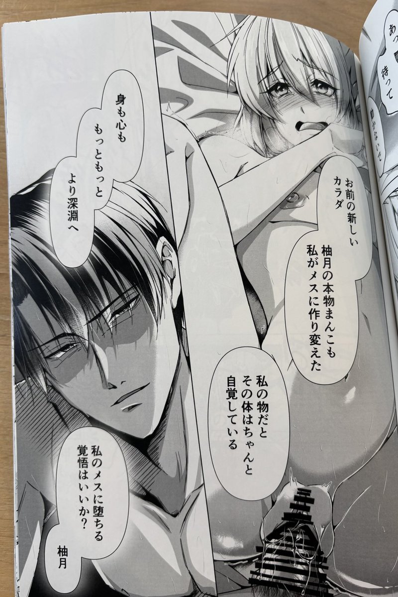 新刊の見本誌が届きました🌟

表紙から手に取った時の重量感よ…!

心配だったグレー作画も、綺麗に印刷されてました🥰

J庭が待ちきれません✨ 