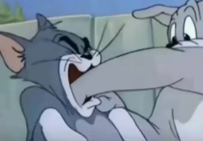 H｜X新手 tweet media