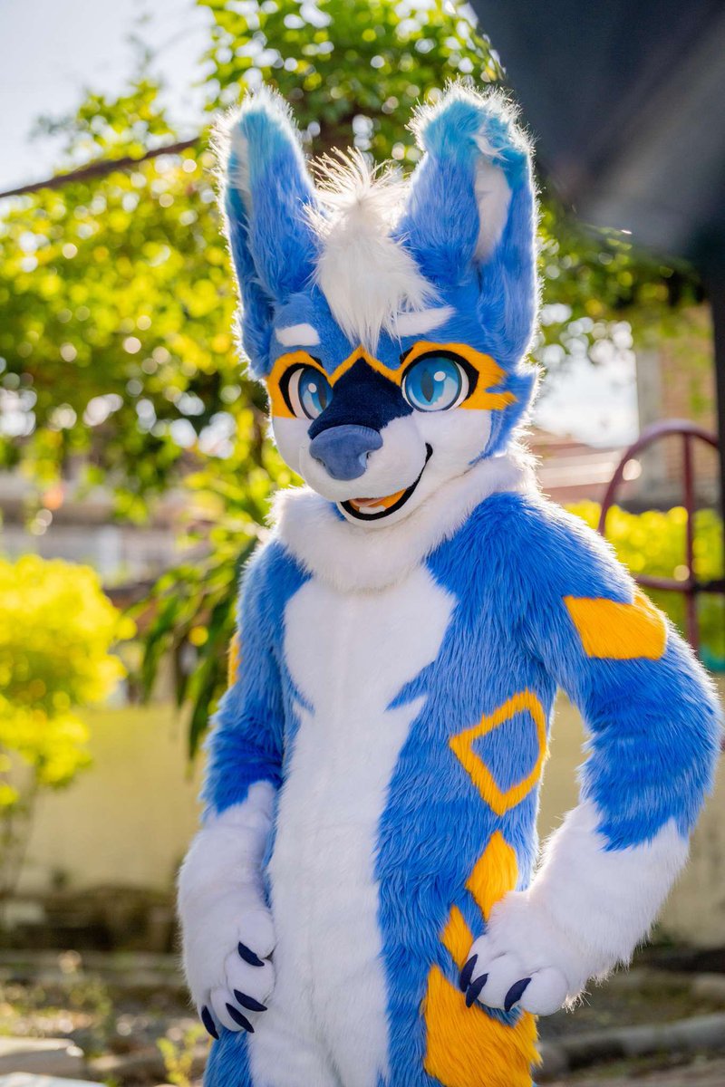 Repeach ➡ WFF tweet media