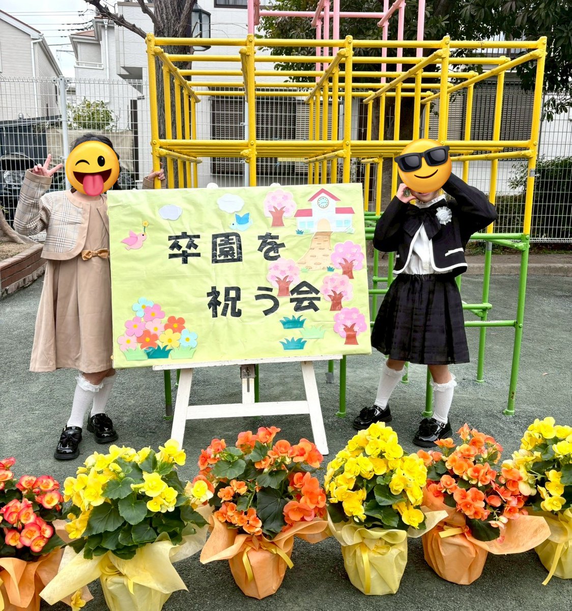 ⬣ びんわんごりら tweet media