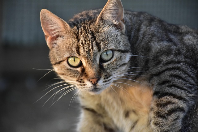 Brian Yatesسَُ سِِكُسْ_كتَاب MOOD x Bokep tweet media