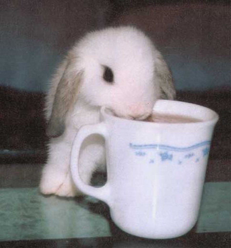 adjani adjacent andrea tweet media