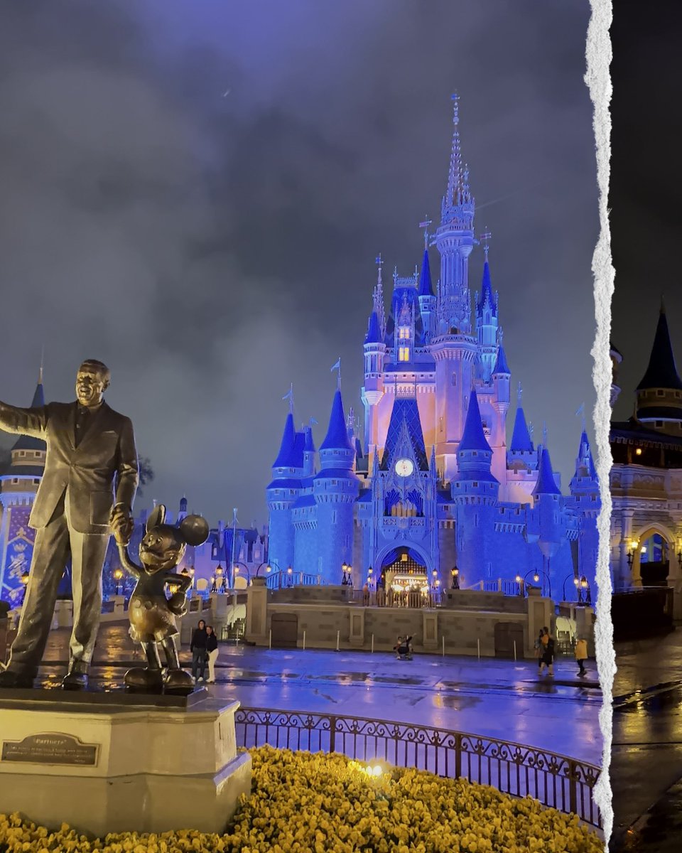 Magic With Ryan ✨ tweet media