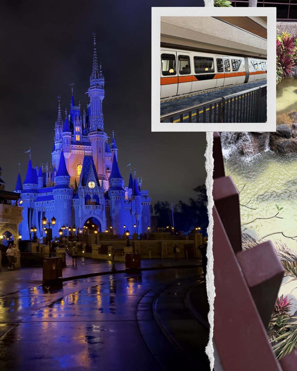 Magic With Ryan ✨ tweet media