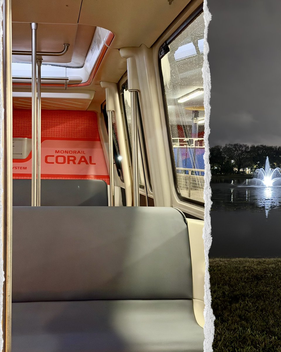 Magic With Ryan ✨ tweet media