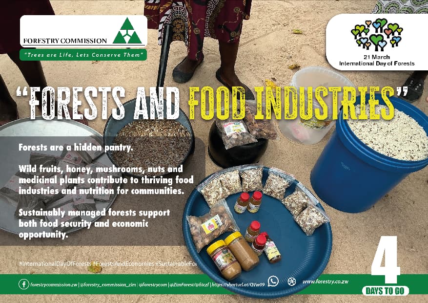 Forestry Commission Zimbabwe tweet media