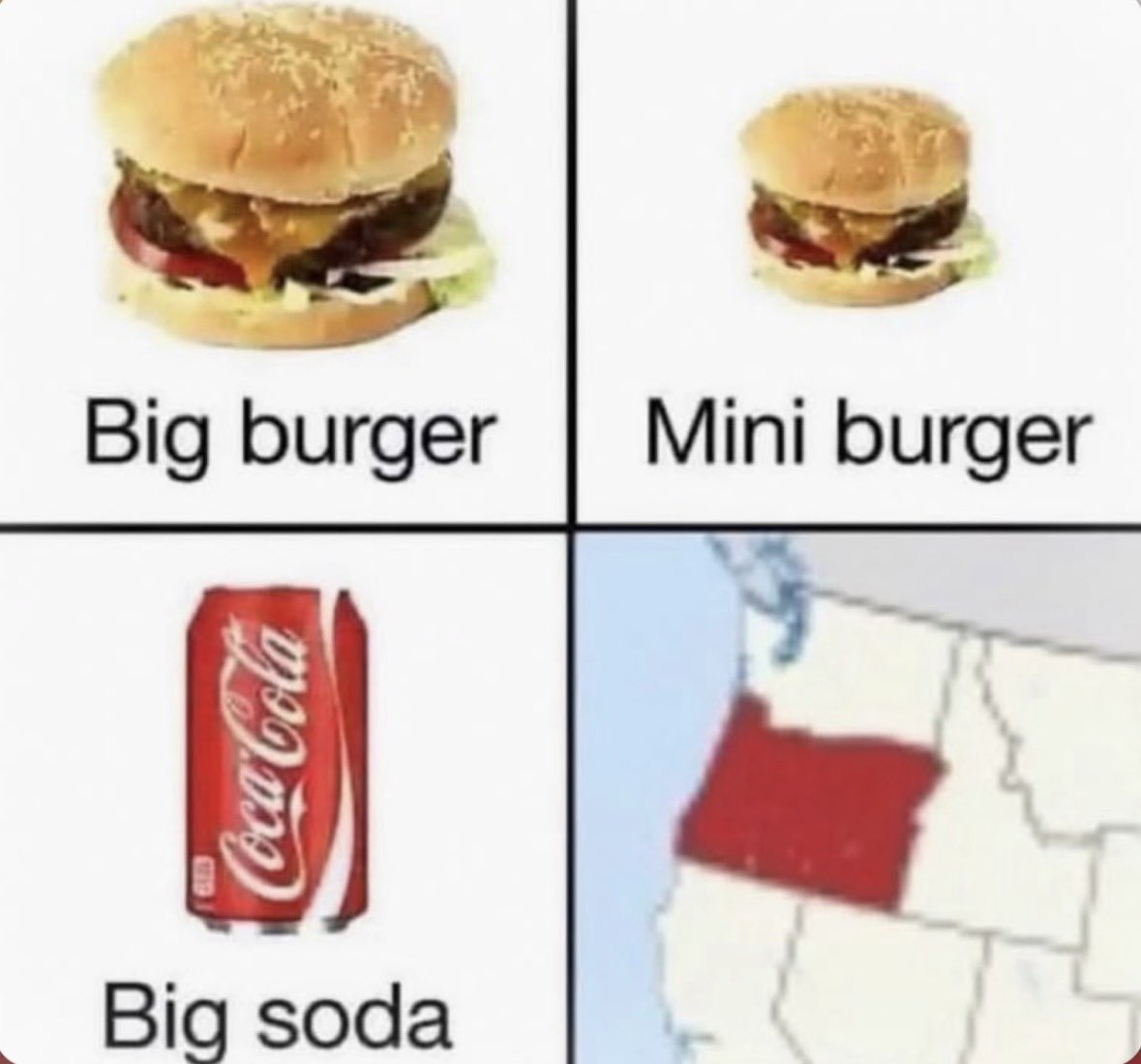 Zosephine🐞 tweet media