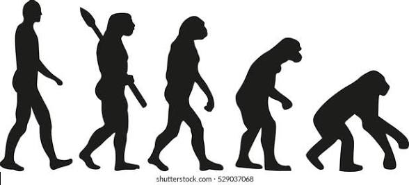 <a href="/TonyLaneNV/">Tony Lane 🇺🇸</a>