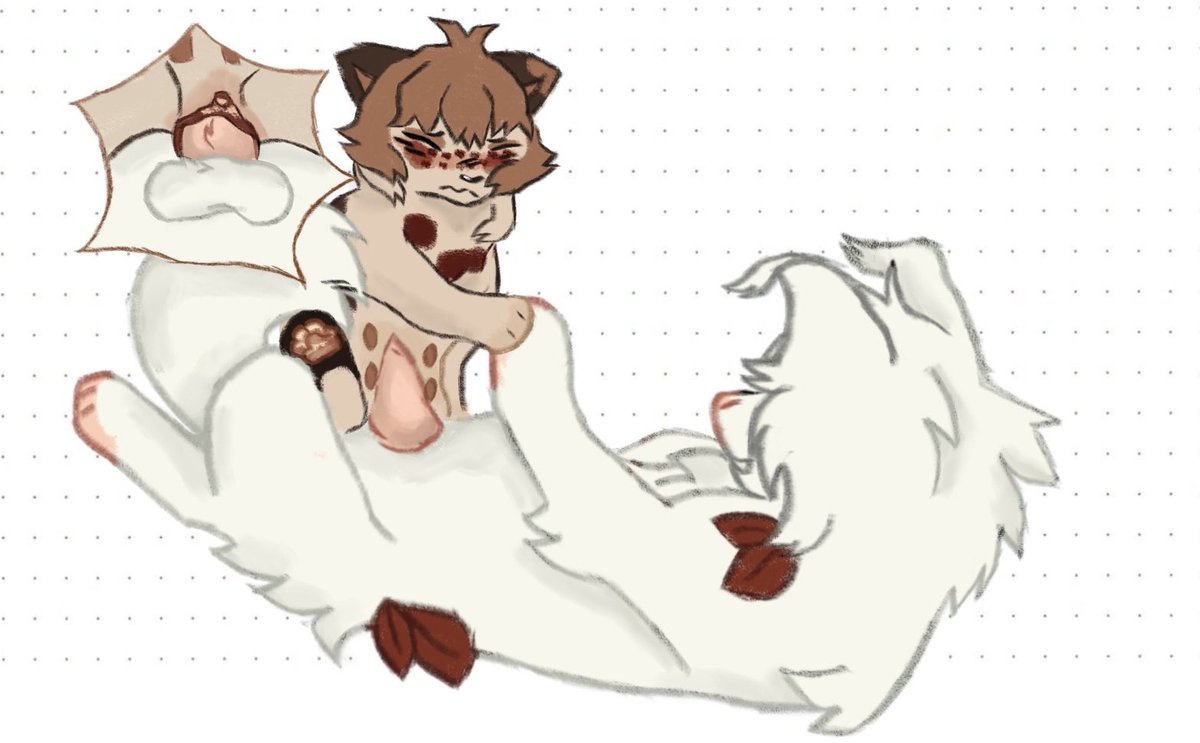 ⋆˚꩜｡ tweet media