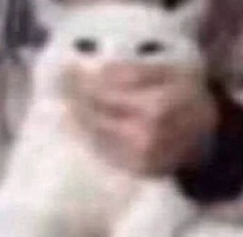 𝒢𝑎𝑛𝑔𝑙𝑒🎭 tweet media