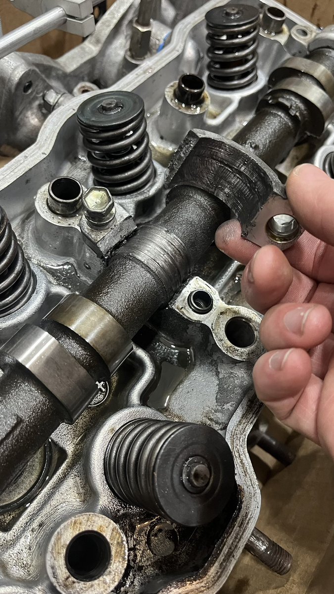 Bleat Jesus tweet media