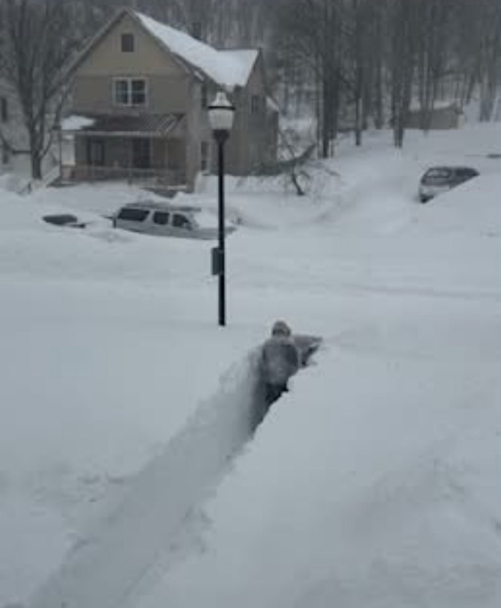 🇺🇸 🦅Simple Man 🦅🇺🇸 tweet media