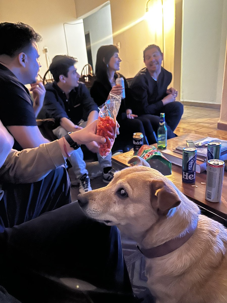 ytzel maya tweet media