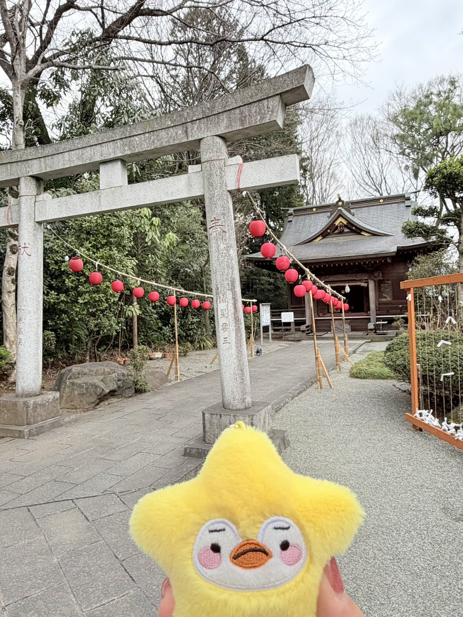 ananピエム垢 tweet media