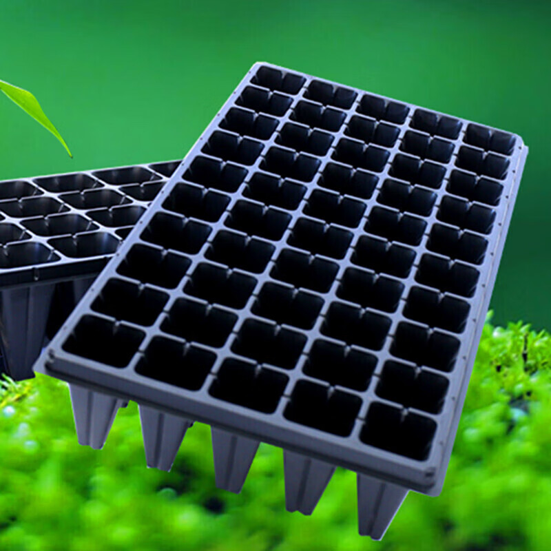 Jason Tran tweet media