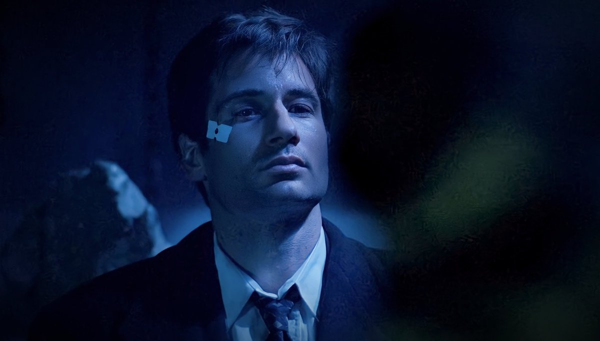 THE X FILES AESTHETICS tweet media