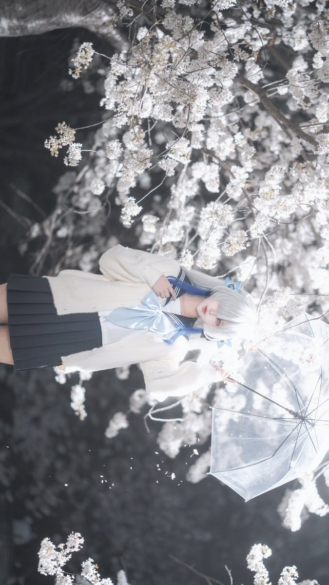 涼月真宵MAYOi🦋 tweet media