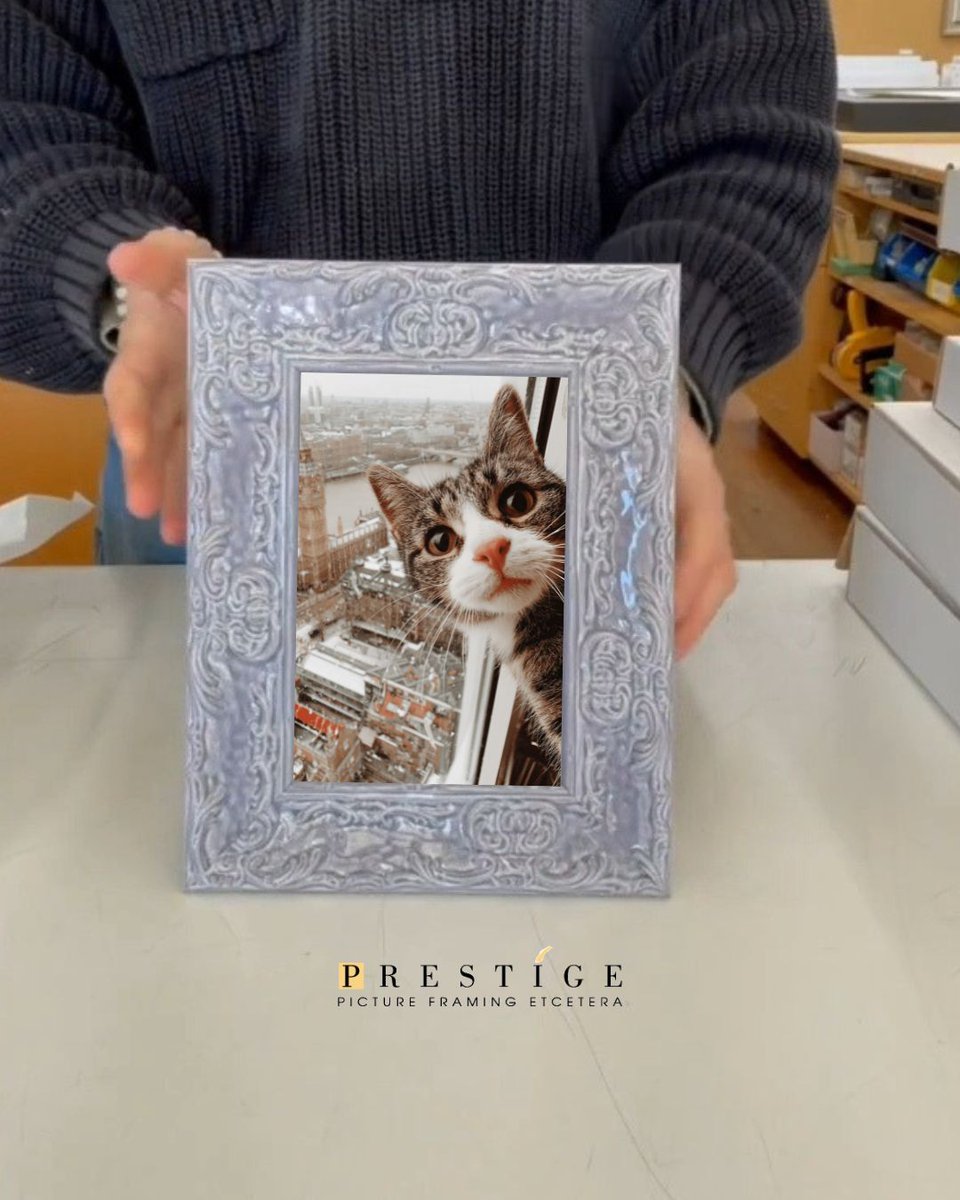 Custom Framing tweet media