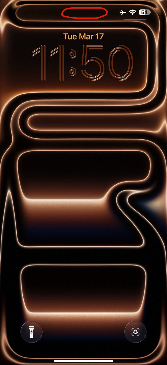 Неоцарапанный отец котов tweet media