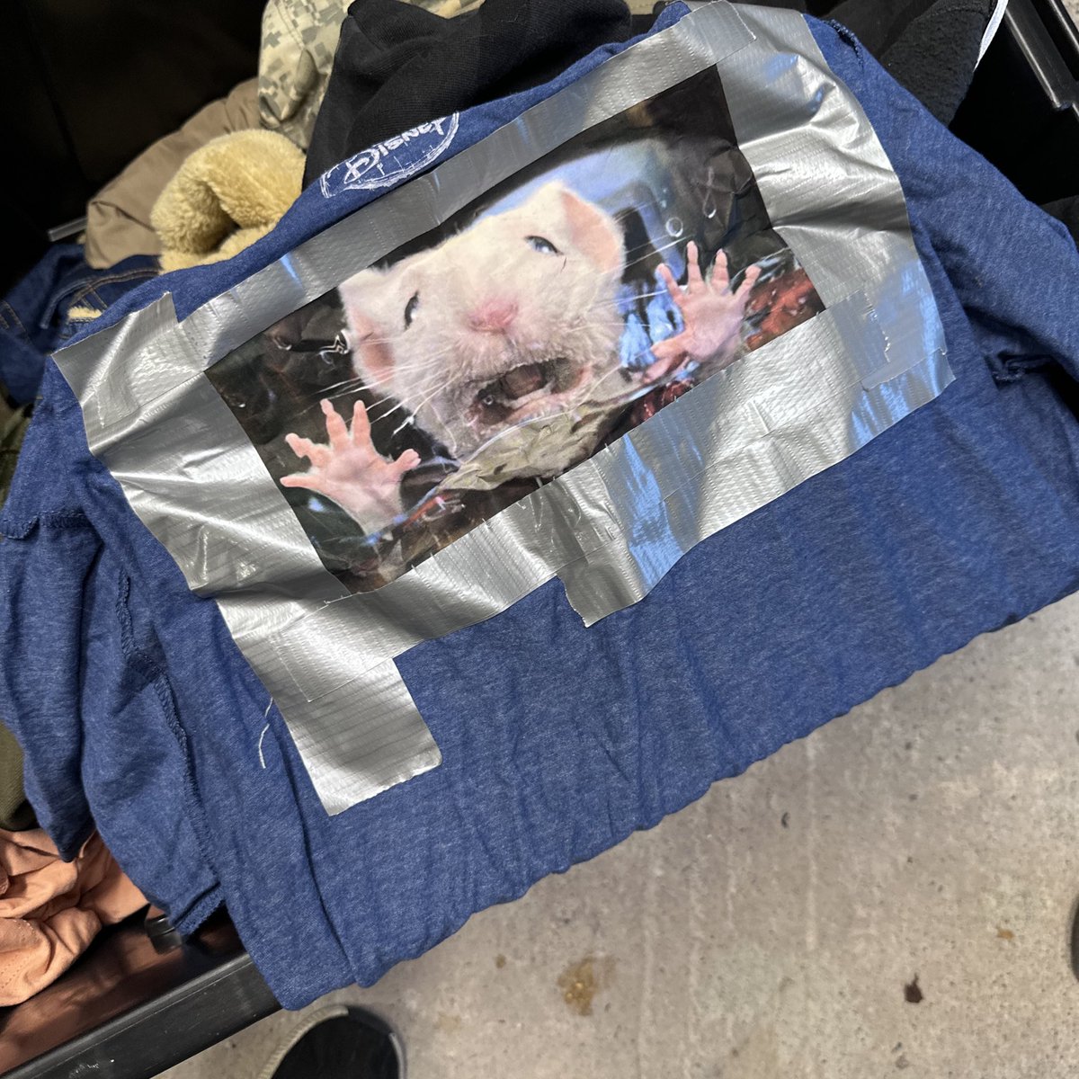 Chris Maldonado 🇵🇷 tweet media