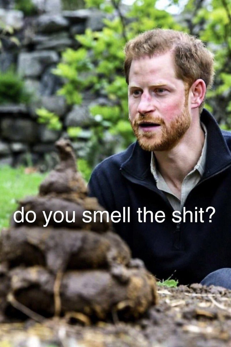 Anabelle tweet media