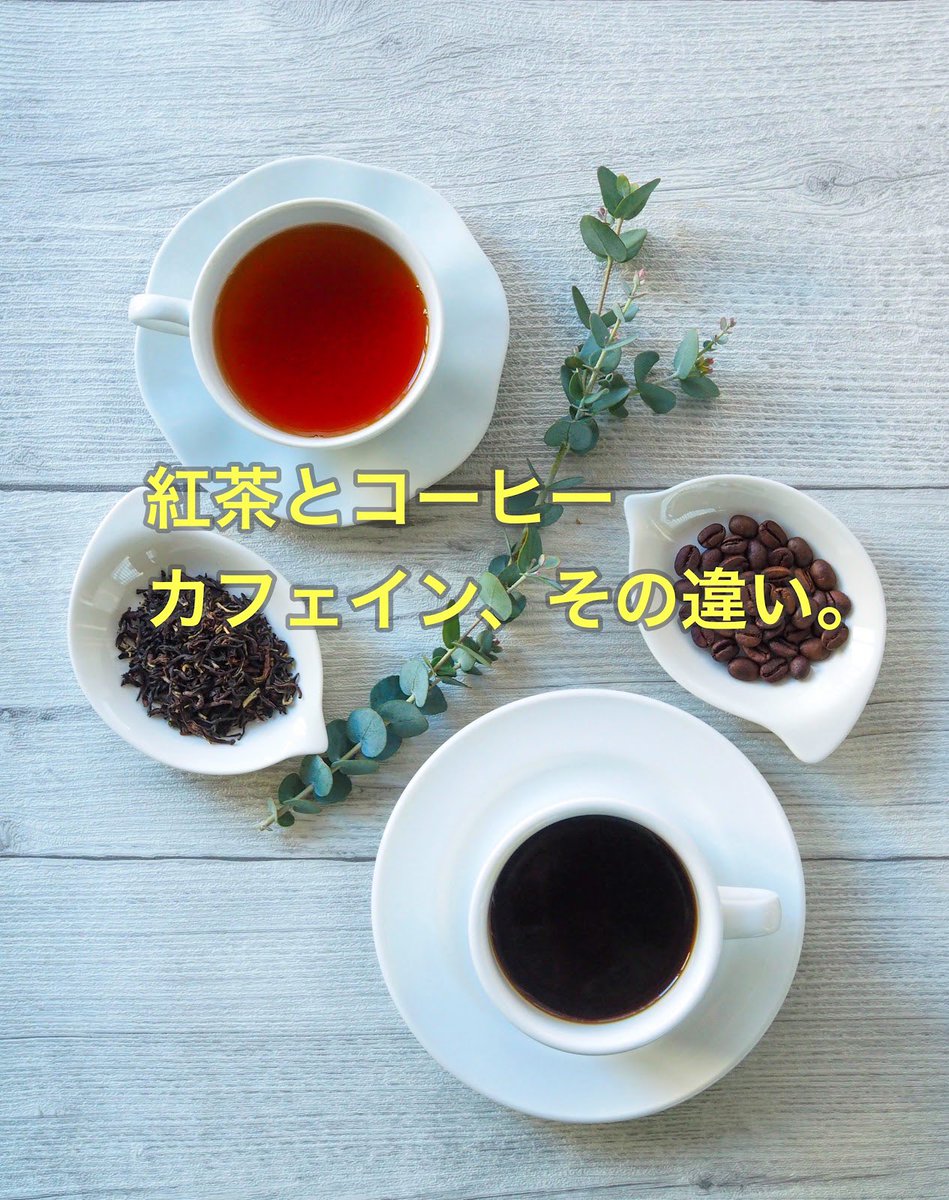 日本紅茶協会公式アカウント tweet media