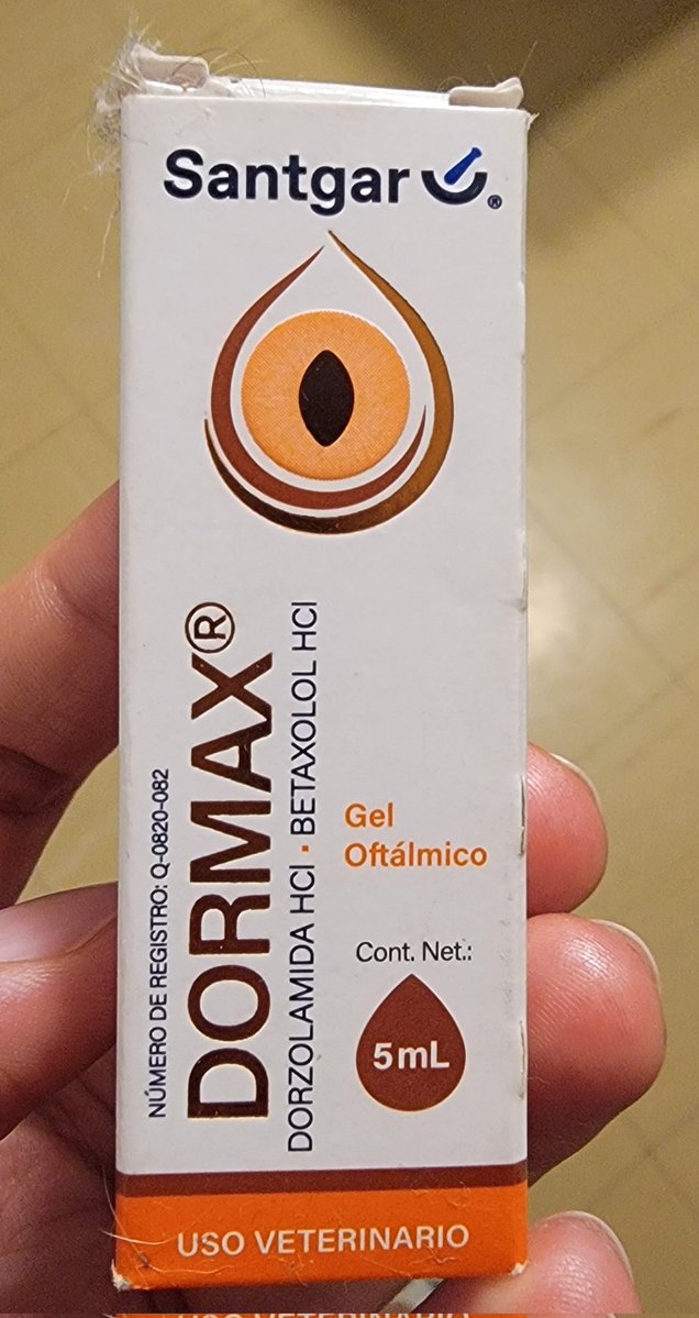 Crullet | OPEN COMMS 5/5 tweet media