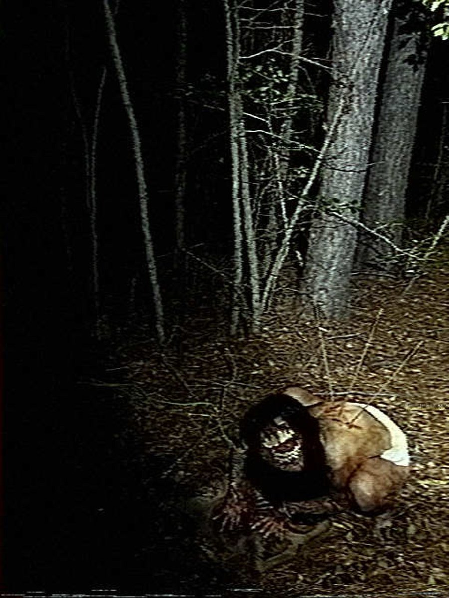 they who walk silently 🔻 tweet media