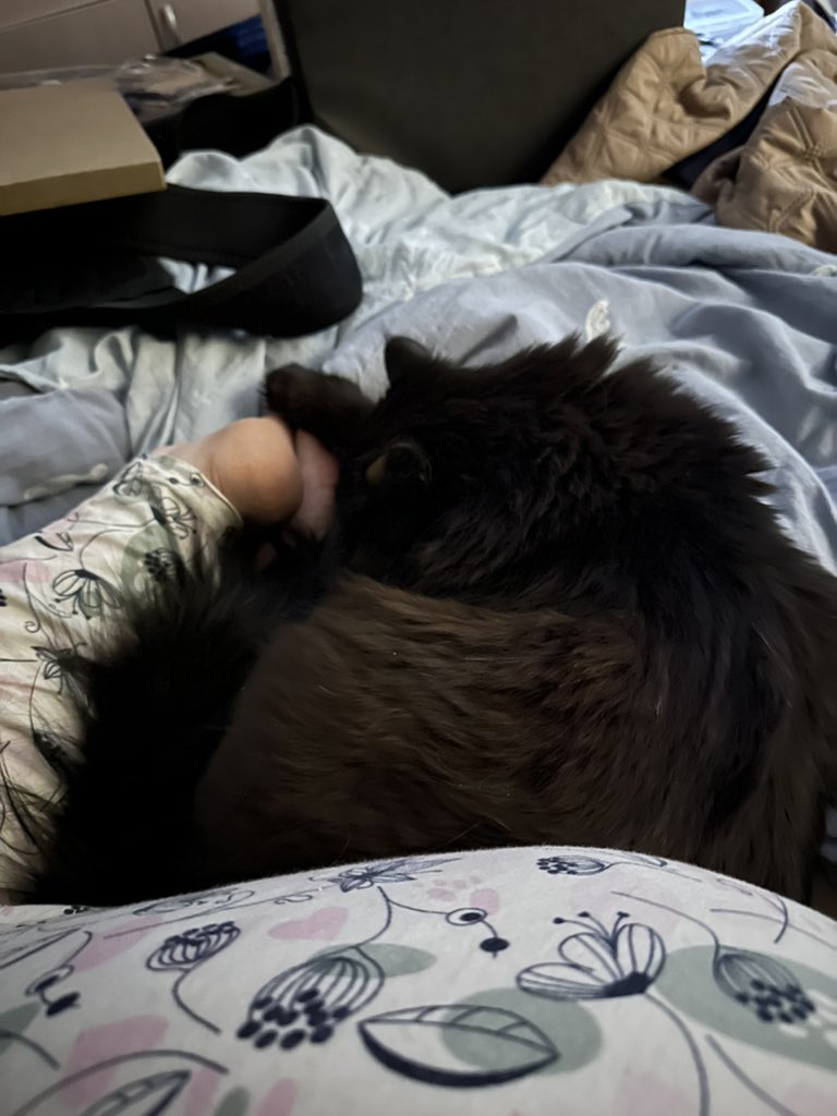 считайте что я утонул tweet media