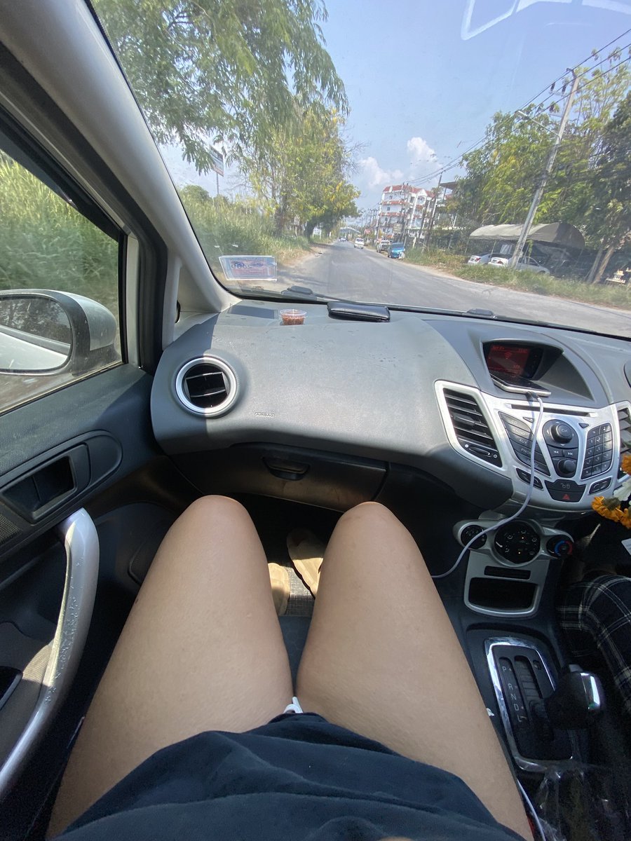 หมวยน้อย🦭 tweet media