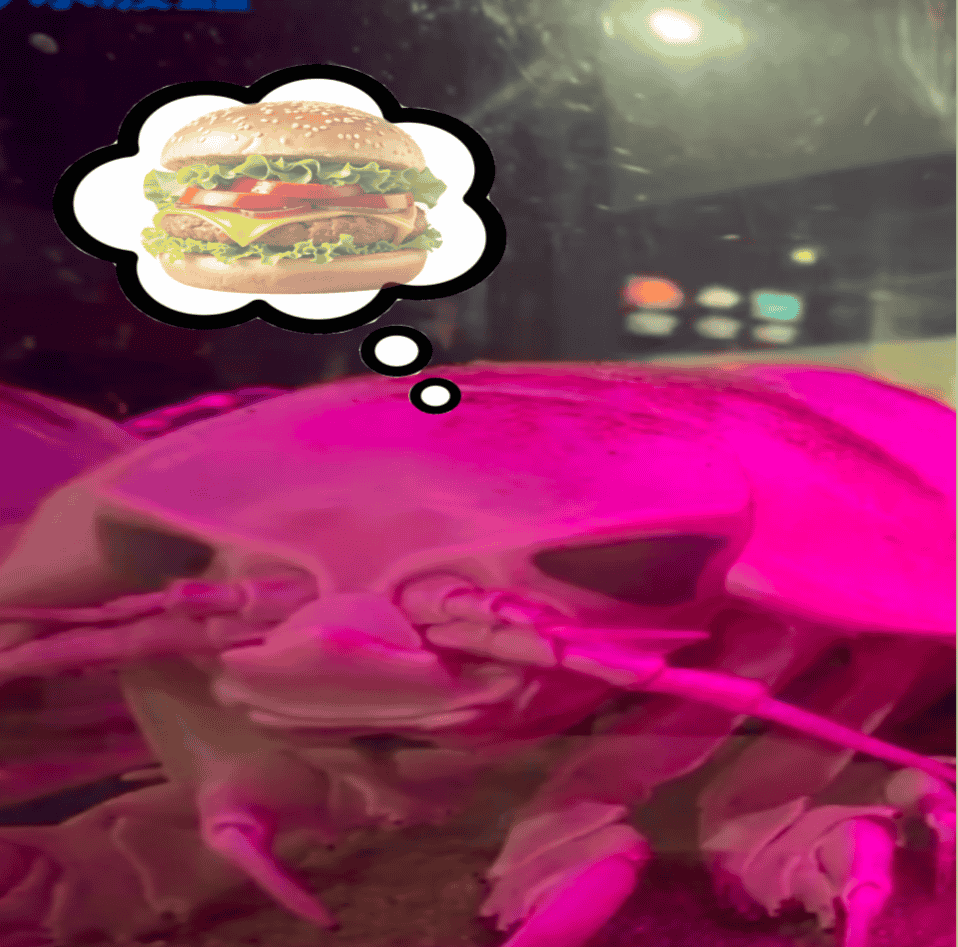 🧁🐛 io tweet media