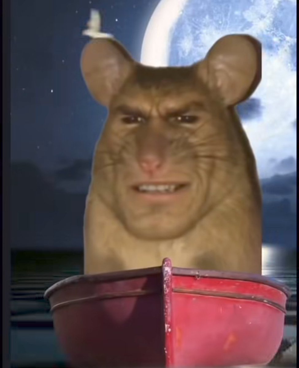 MAXI_tonao_320's tweet image. Ponle pancita y algo de muslos que la grasa no solo se fue a la pancita :3