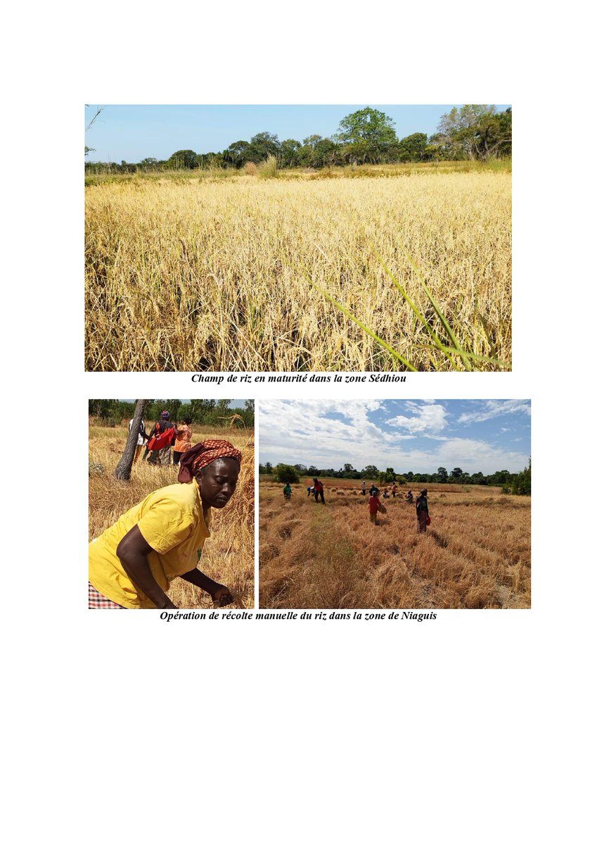 Climate Justice Impact Fund for Africa tweet media