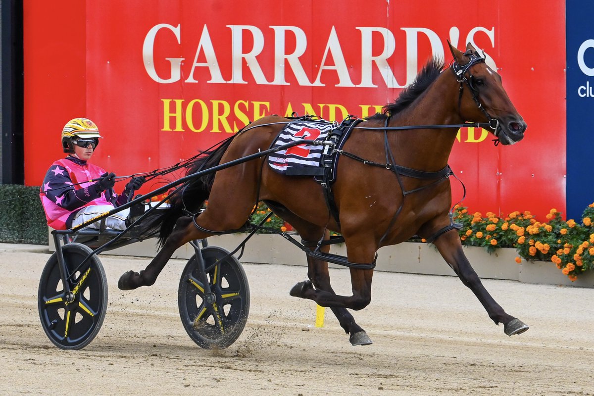 Club Menangle tweet media