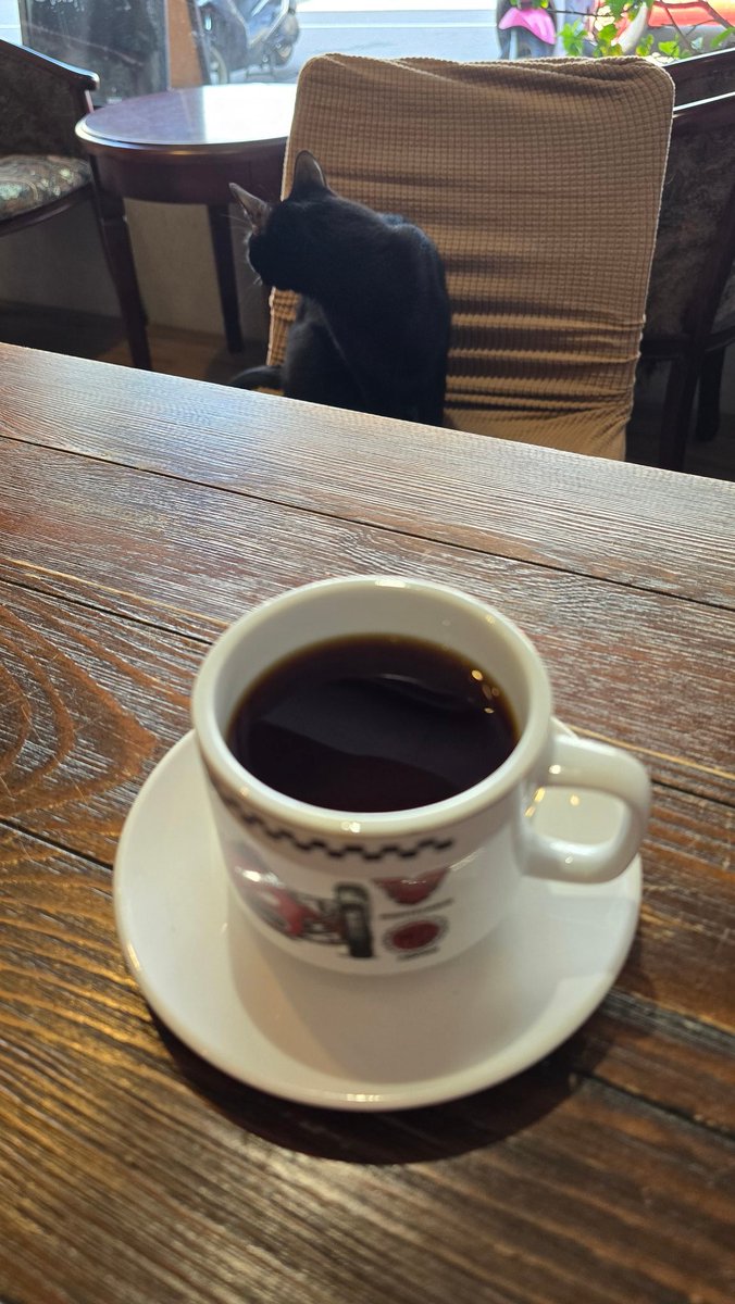 每日一杯 tweet media