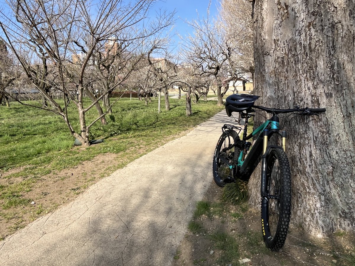 7k1gij's tweet photo. 今日は水戸方面公園巡り。
昼過ぎから急に気温が上がり一枚ずつ脱いでゆく。ラッキョのように着てたので脱いだアウターどうするか？自転車POTAの悩みどころ。でもそれも含めてあれやこれや解決するのが移動の楽しみ❗️ https://t.co/Uxi7oOFpsd