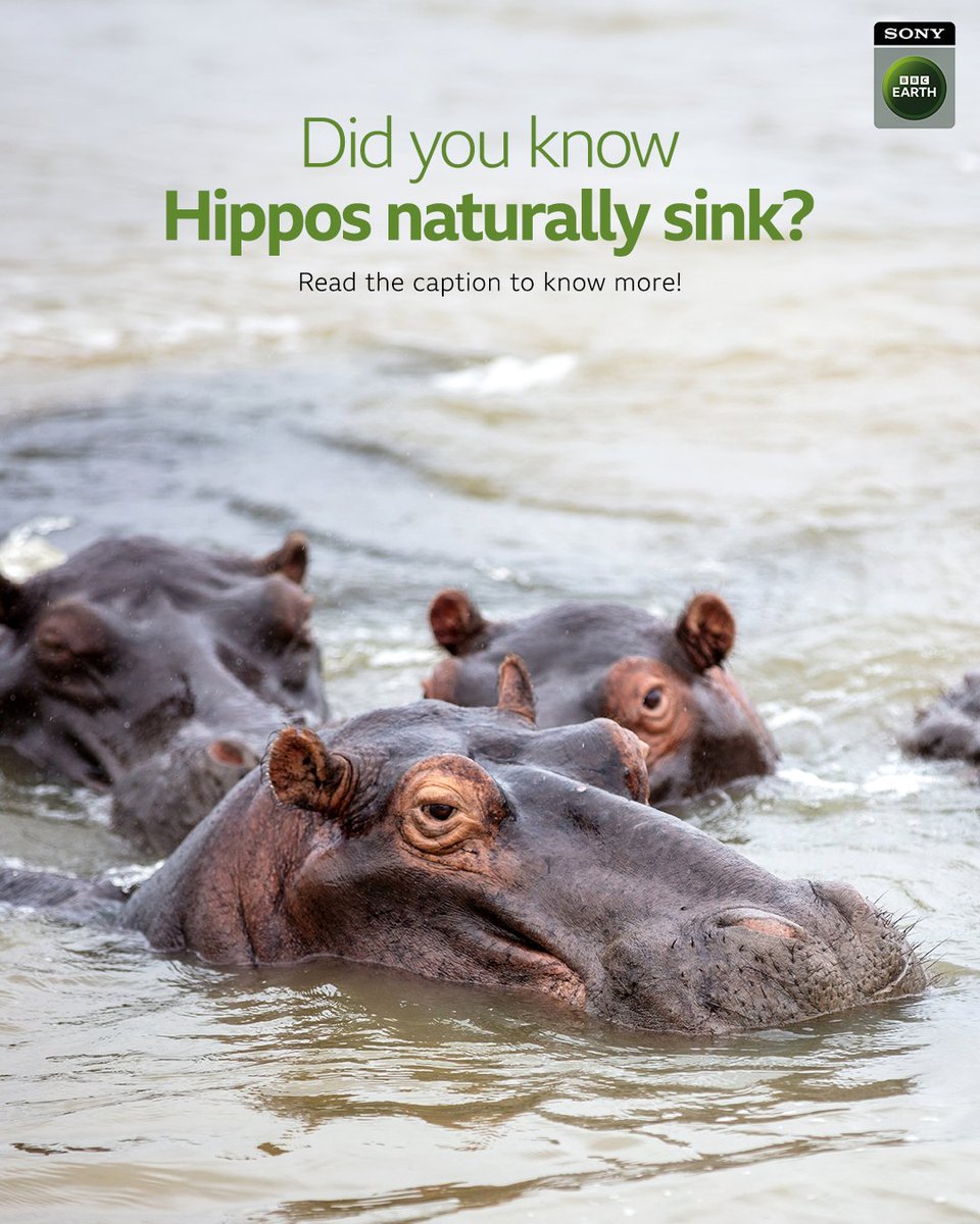 Sony BBC Earth tweet media