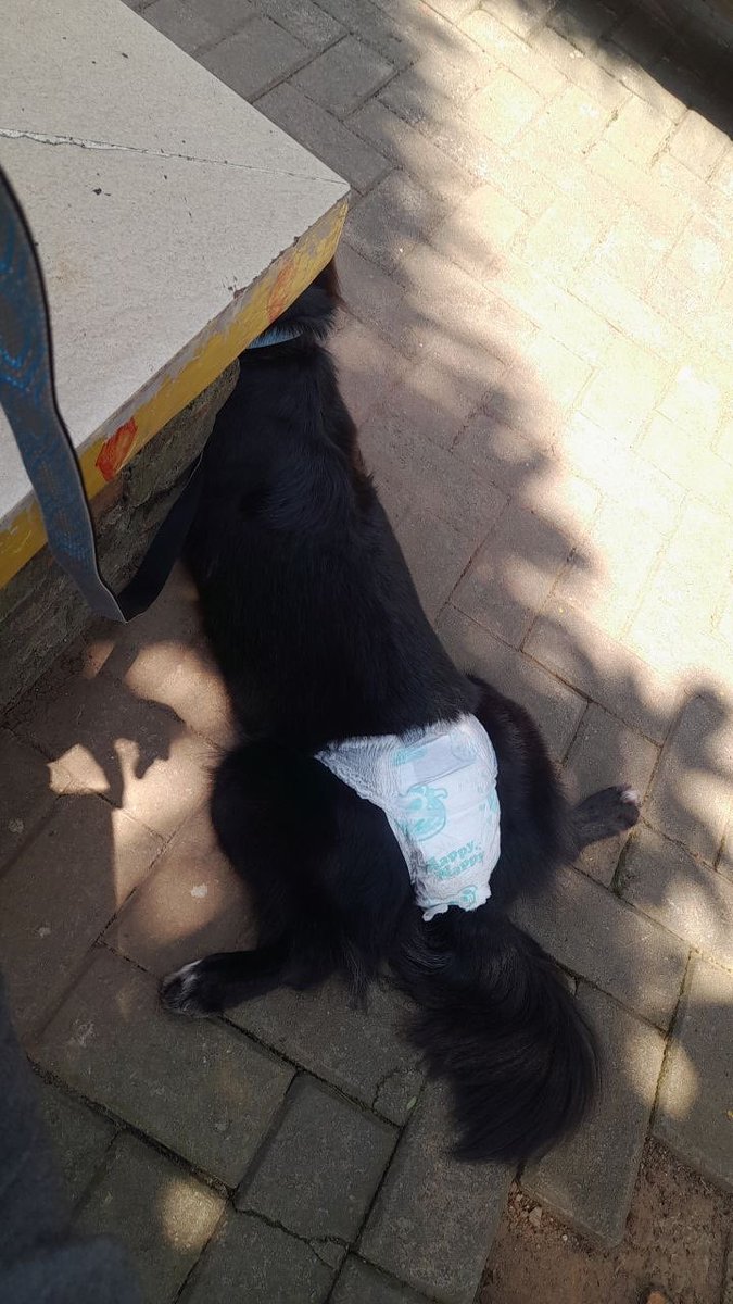 ardi 🍃 tweet media