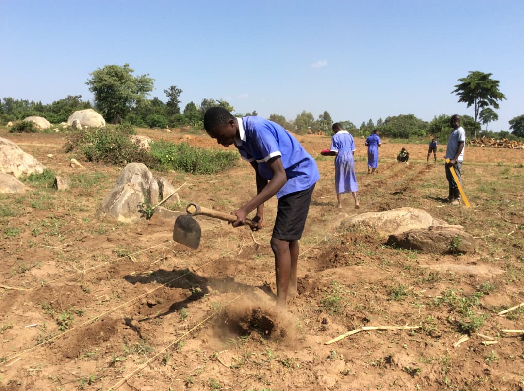 KAL CONSORTIUM AFRICA tweet media