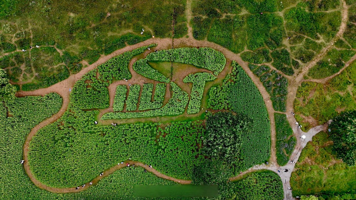 Tha Teli Thta Wsga Tho Deg tweet media