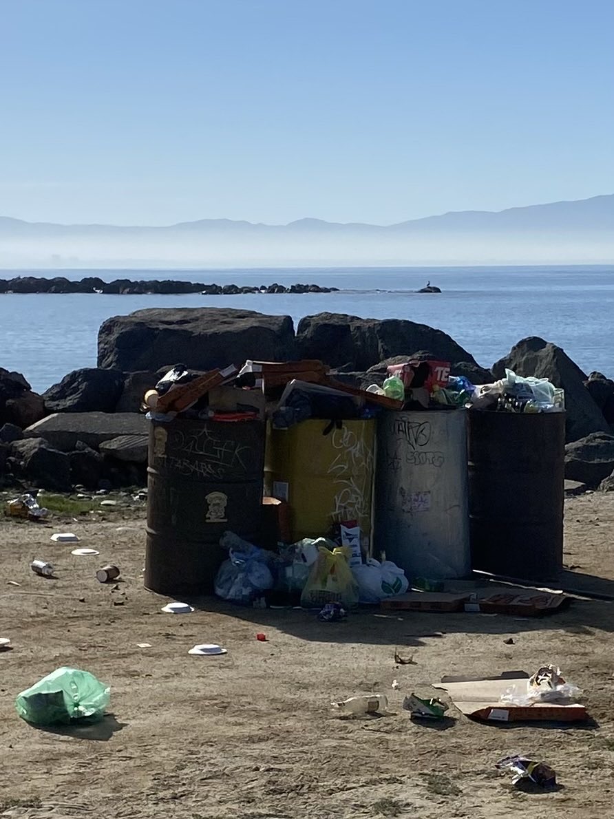 Ma.Eugenia Turrent tweet media