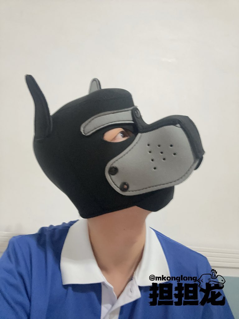 担担龙 tweet media