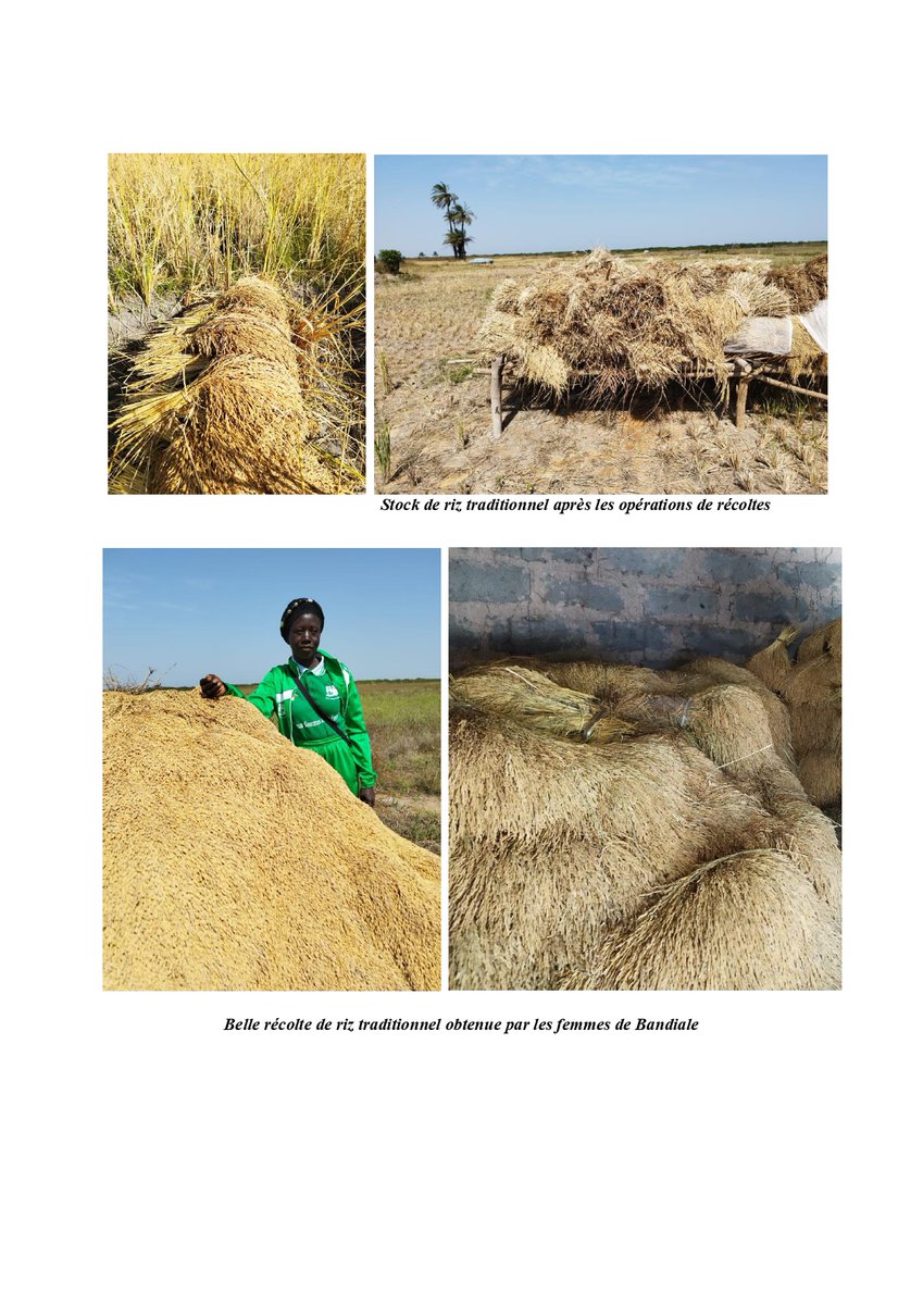 Climate Justice Impact Fund for Africa tweet media