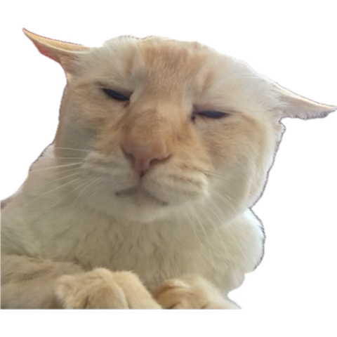 uhmniALT's tweet photo. Me after taking a fat toke from the bong and taking a nap on my $Gany bags 

Dz4bX3snTDxqdKyZwdUgKoDvSjyvmoA23E6j5odZpump https://t.co/RIhMOtznQS