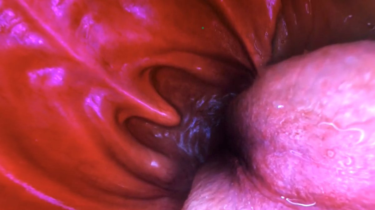 渡邊課 課長 渡邊徹 / Immersive Director ᯅ tweet media