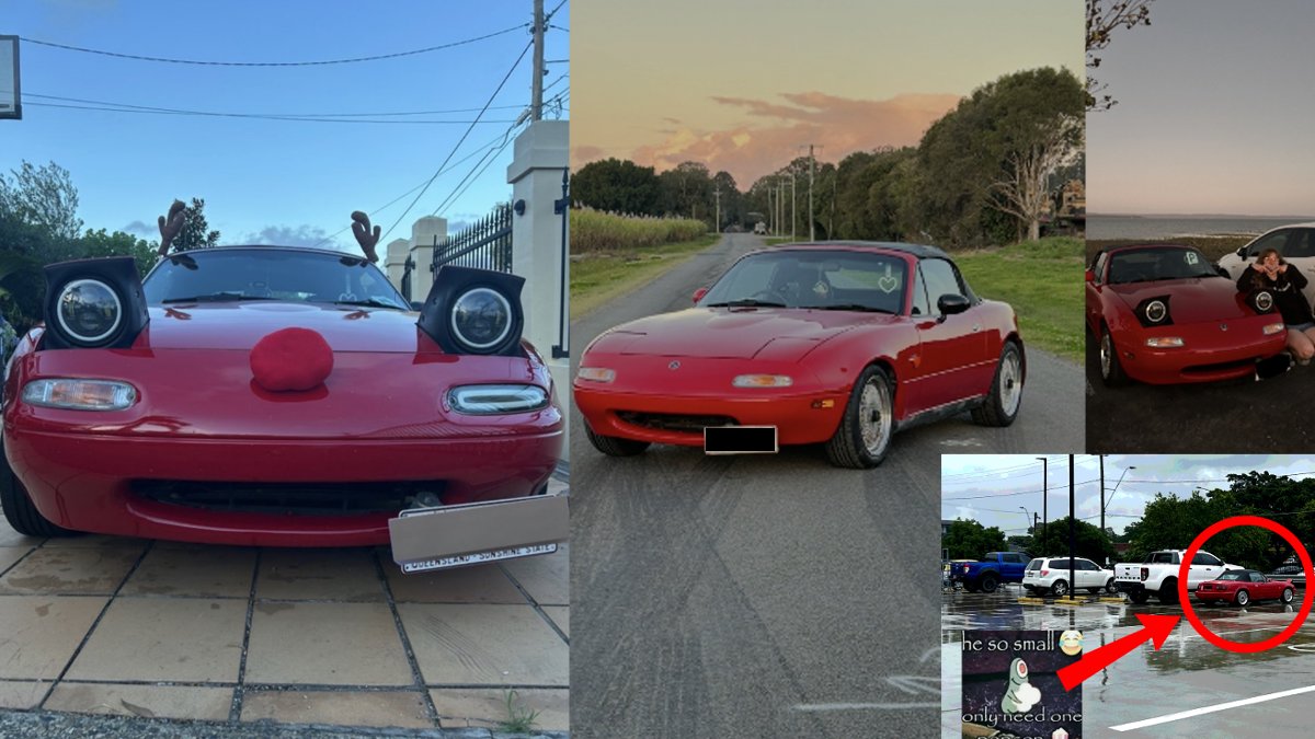 mini 🌱💫 tweet media