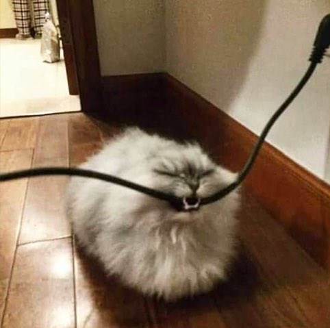 Ant 🪽 tweet media